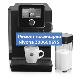Чистка кофемашины Nivona 300600675 от кофейных масел в Санкт-Петербурге